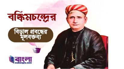 বিড়াল প্রবন্ধ