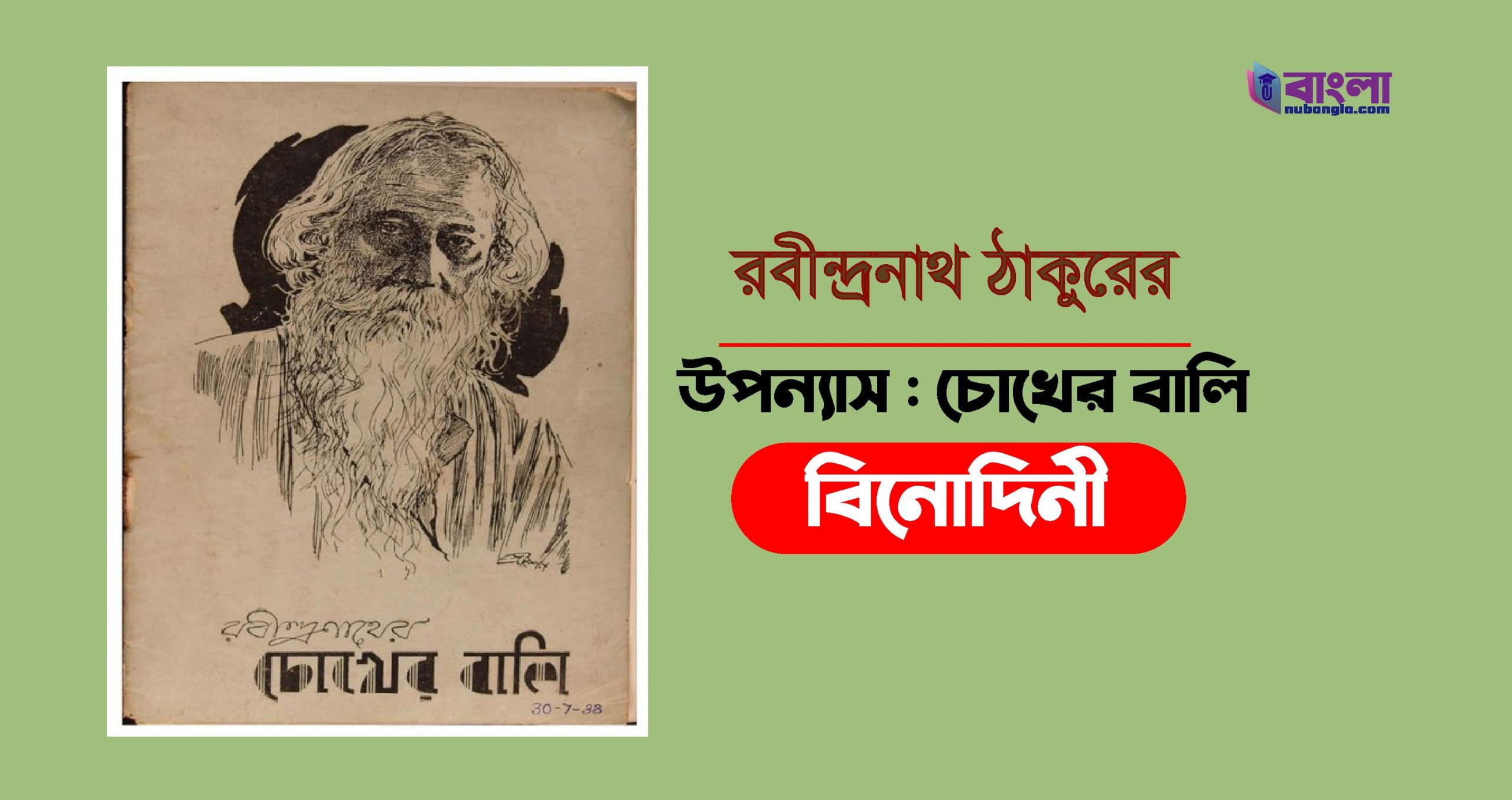 চোখের বালি
