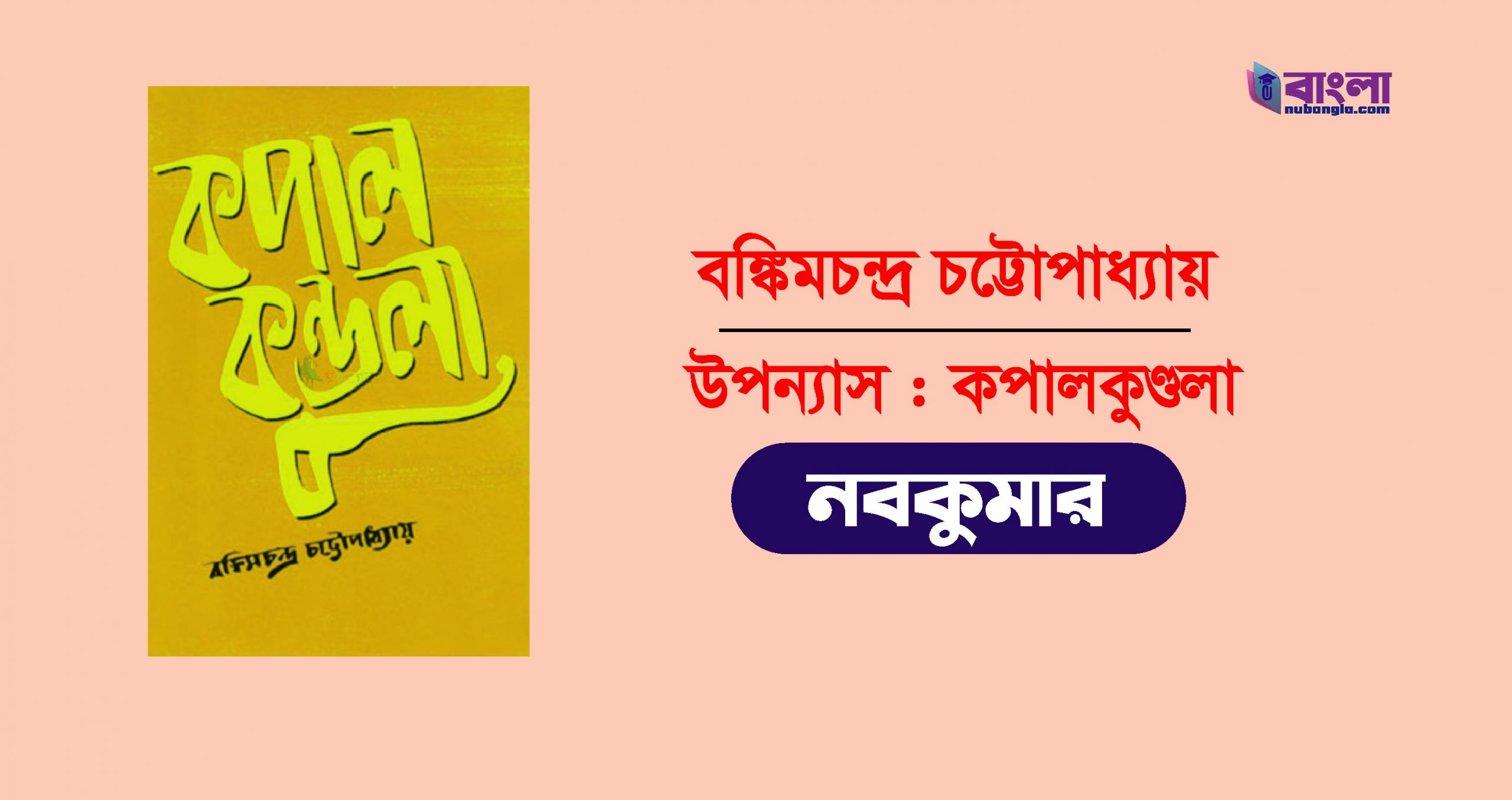 নবকুমার চরিত্র